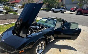 Chevrolet-Corvette-Coupe-1977-Black-White-43003-13