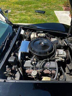 Chevrolet-Corvette-Coupe-1977-Black-White-43003-15