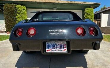 Chevrolet-Corvette-Coupe-1977-Black-White-43003-4