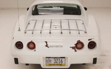 Chevrolet-Corvette-Coupe-1977-White-Brown-149025-4