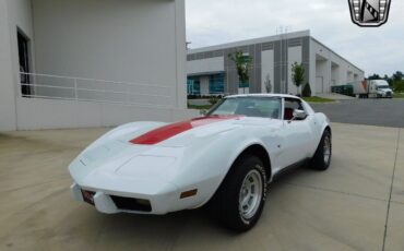 Chevrolet-Corvette-Coupe-1977-White-Red-130304-4