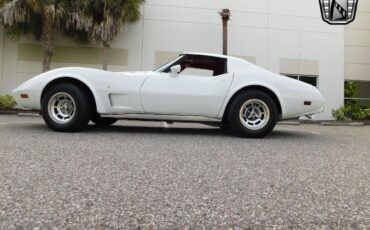 Chevrolet-Corvette-Coupe-1977-White-Red-26915-10