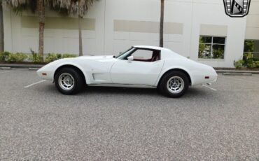 Chevrolet-Corvette-Coupe-1977-White-Red-26915-5