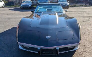 Chevrolet-Corvette-Coupe-1978-Silver-34469-2