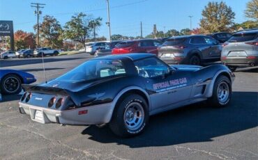 Chevrolet-Corvette-Coupe-1978-Silver-34469-8