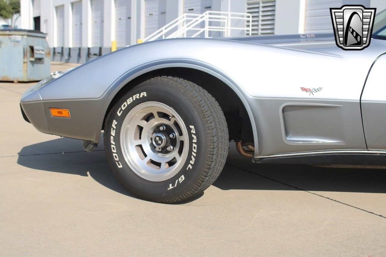 Chevrolet-Corvette-Coupe-1978-Silver-Black-25981-10