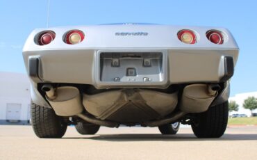 Chevrolet-Corvette-Coupe-1978-Silver-Black-25981-5