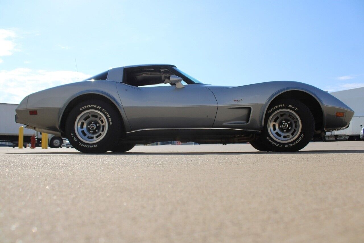 Chevrolet-Corvette-Coupe-1978-Silver-Black-25981-6