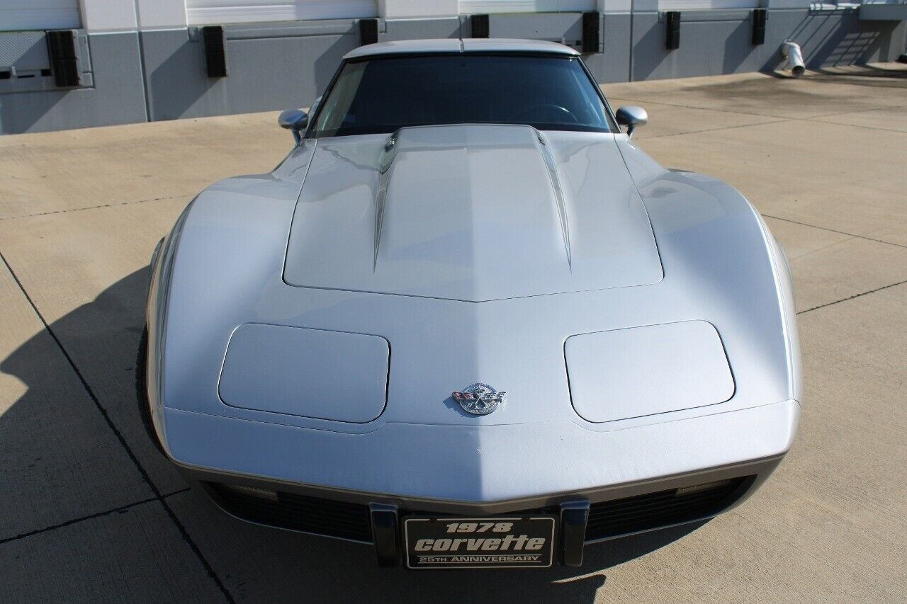 Chevrolet-Corvette-Coupe-1978-Silver-Black-25981-7