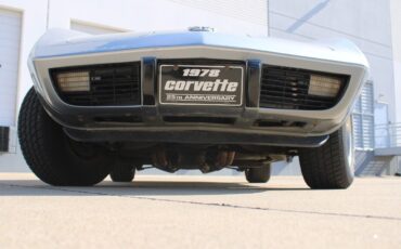 Chevrolet-Corvette-Coupe-1978-Silver-Black-25981-9