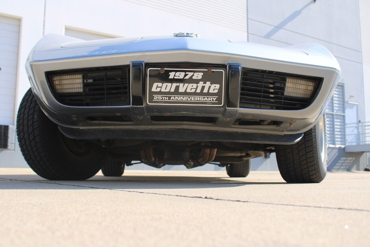 Chevrolet-Corvette-Coupe-1978-Silver-Black-25981-9