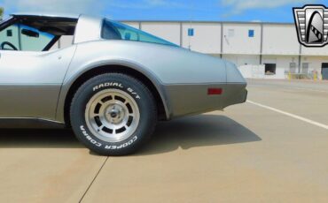 Chevrolet-Corvette-Coupe-1978-Silver-Black-86309-3