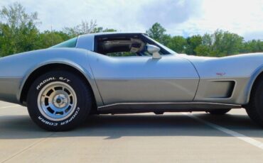 Chevrolet-Corvette-Coupe-1978-Silver-Black-86309-4