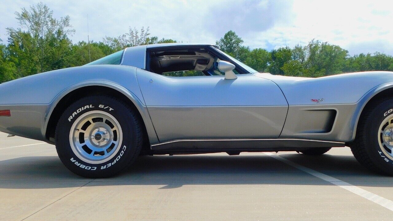 Chevrolet-Corvette-Coupe-1978-Silver-Black-86309-4