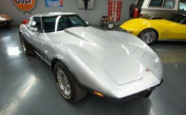 Chevrolet-Corvette-Coupe-1978-Silver-Blue-172530-3