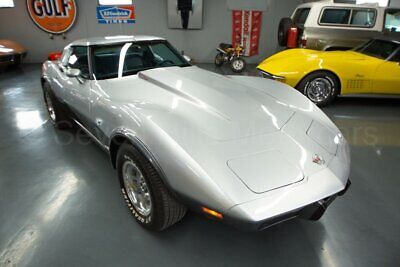 Chevrolet-Corvette-Coupe-1978-Silver-Blue-172530-3