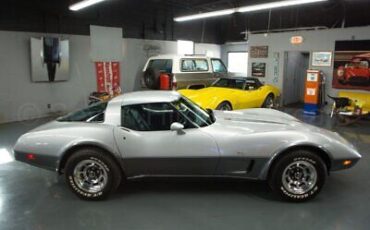 Chevrolet-Corvette-Coupe-1978-Silver-Blue-172530-4