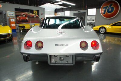 Chevrolet-Corvette-Coupe-1978-Silver-Blue-172530-7