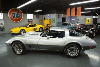 Chevrolet-Corvette-Coupe-1978-Silver-Blue-172530-9