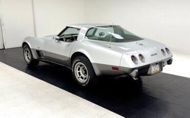 Chevrolet-Corvette-Coupe-1978-Silver-Oyster-51348-3