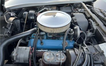 Chevrolet-Corvette-Coupe-1978-Silver-Red-131966-10