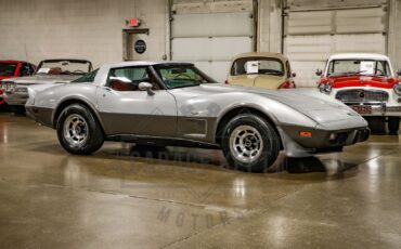 Chevrolet-Corvette-Coupe-1978-Silver-Red-51063-10