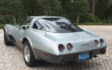 Chevrolet-Corvette-Coupe-1978-Silver-oyster-16093-1