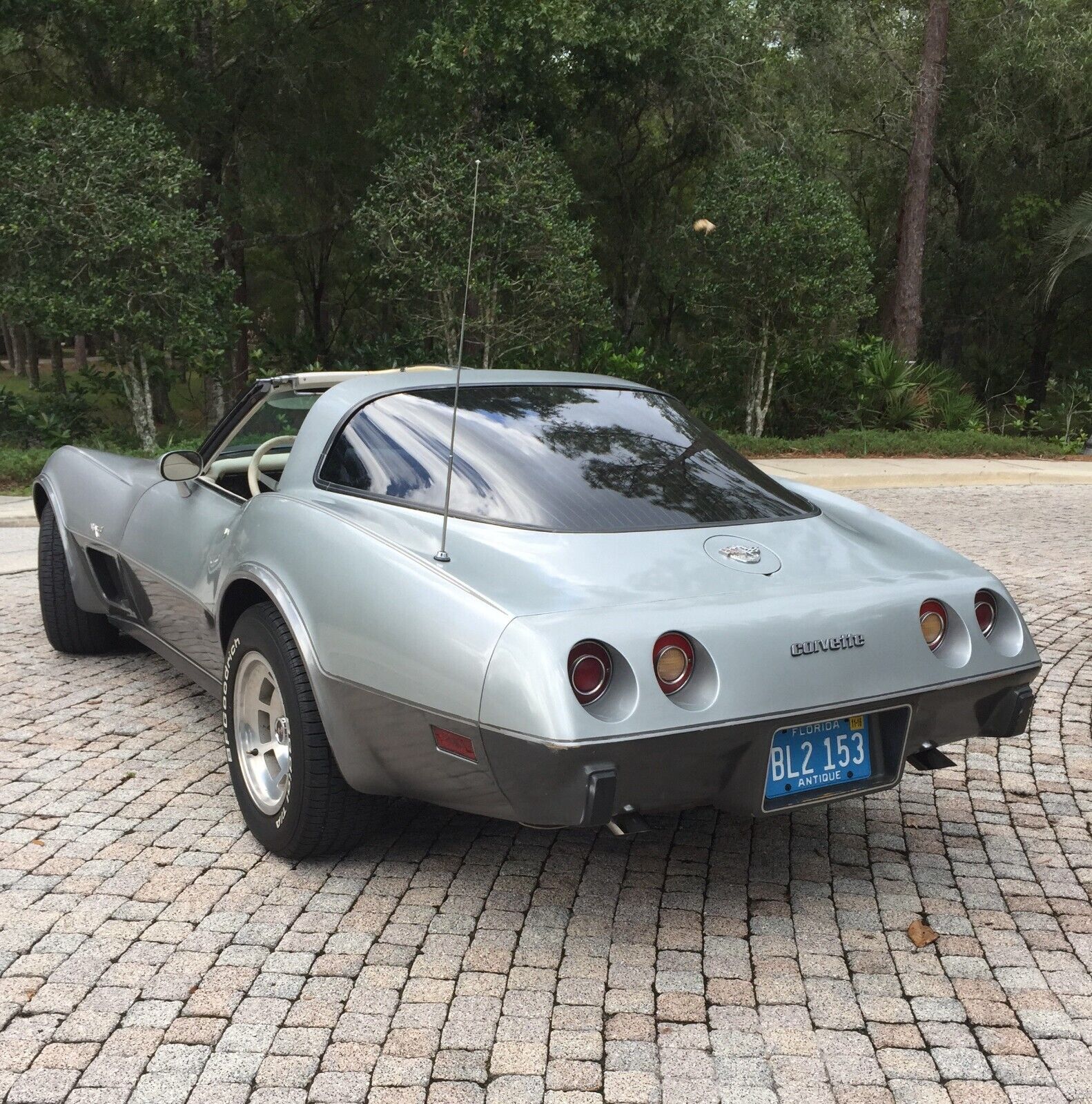 Chevrolet-Corvette-Coupe-1978-Silver-oyster-16093-1