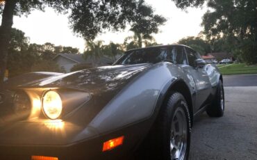 Chevrolet-Corvette-Coupe-1978-Silver-oyster-16093-2