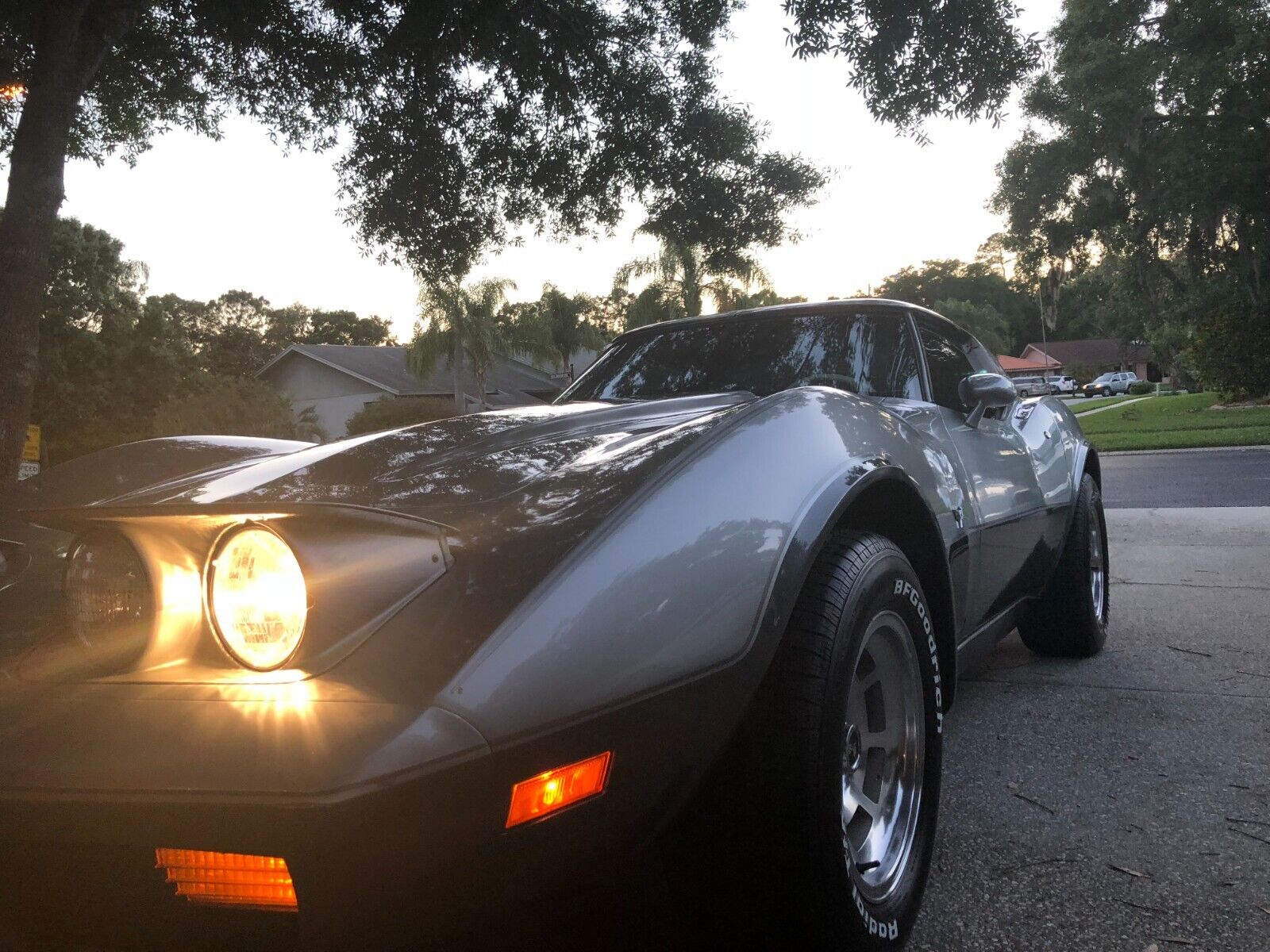 Chevrolet-Corvette-Coupe-1978-Silver-oyster-16093-2