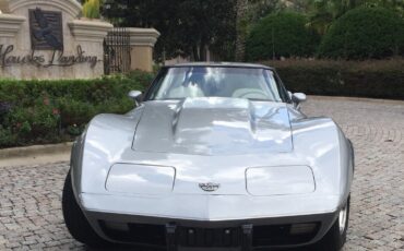 Chevrolet-Corvette-Coupe-1978-Silver-oyster-16093-3