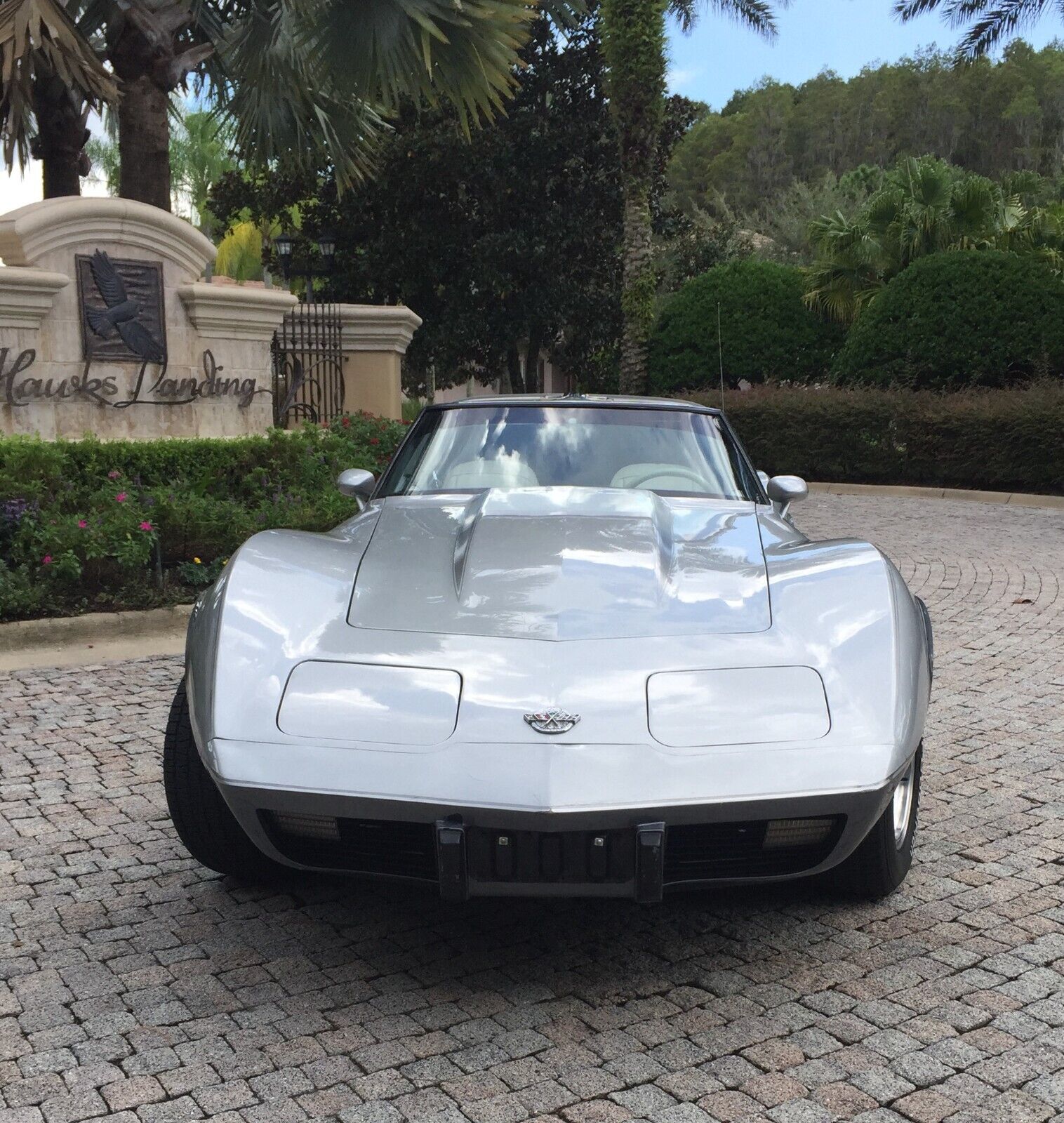 Chevrolet-Corvette-Coupe-1978-Silver-oyster-16093-3