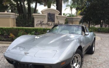 Chevrolet-Corvette-Coupe-1978-Silver-oyster-16093-4