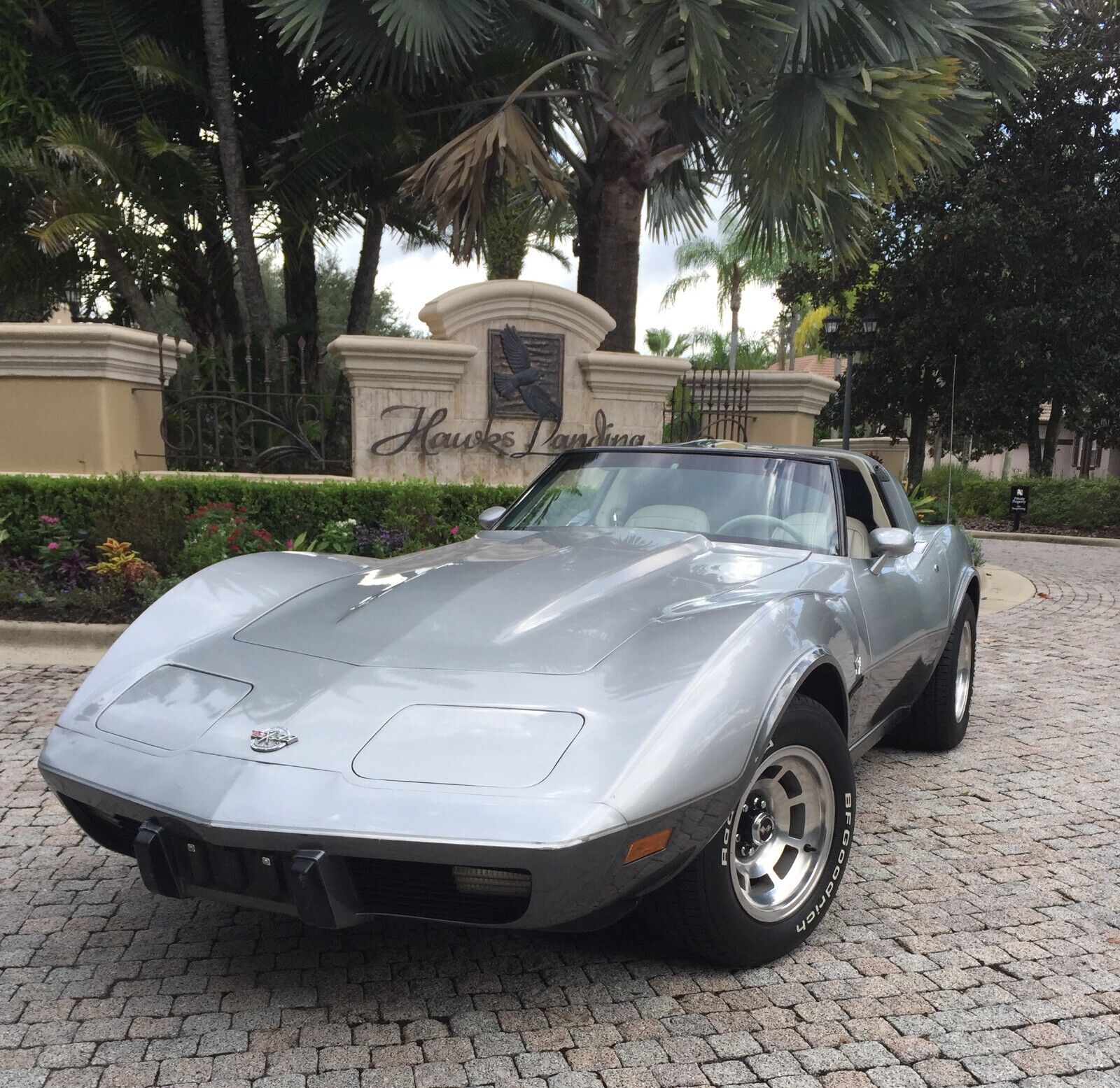 Chevrolet-Corvette-Coupe-1978-Silver-oyster-16093-4