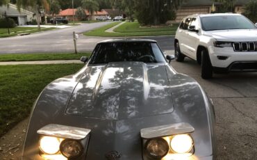 Chevrolet-Corvette-Coupe-1978-Silver-oyster-16093-5