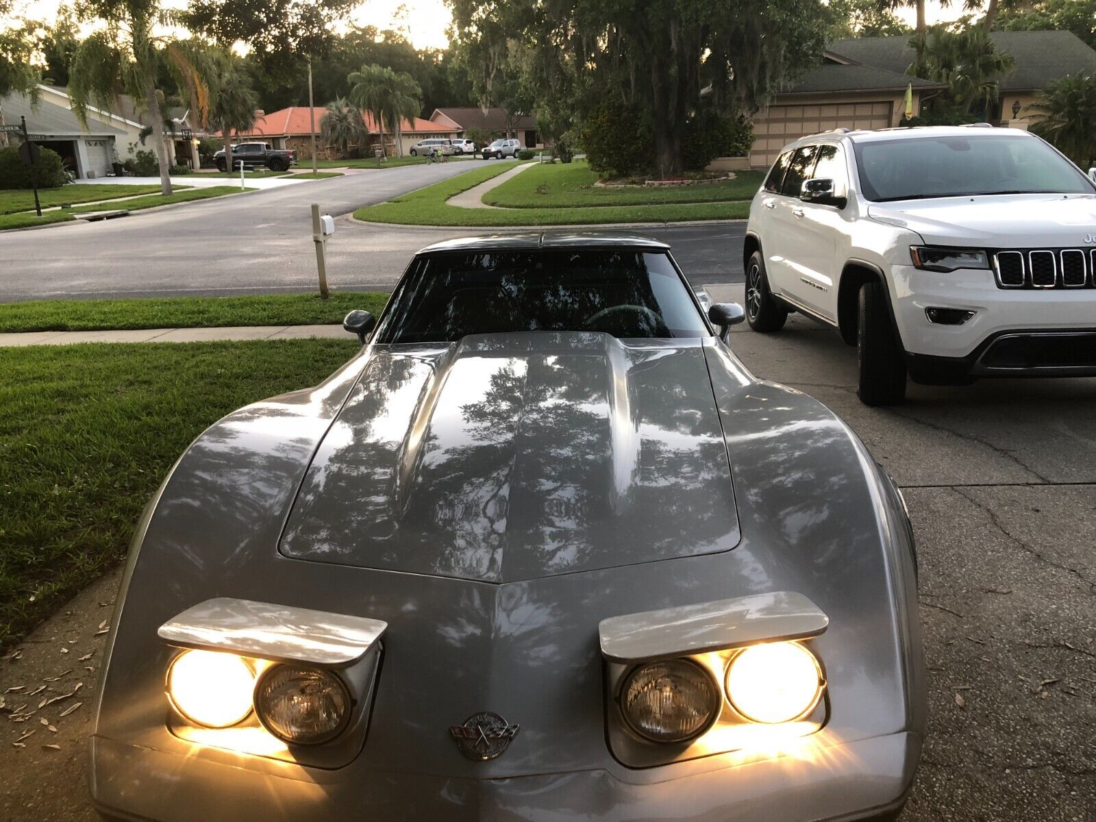 Chevrolet-Corvette-Coupe-1978-Silver-oyster-16093-5