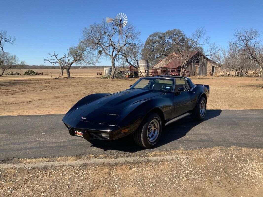 Chevrolet-Corvette-Coupe-1979-Black-Black-25704-10