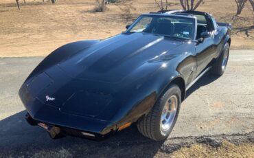 Chevrolet-Corvette-Coupe-1979-Black-Black-25704-11