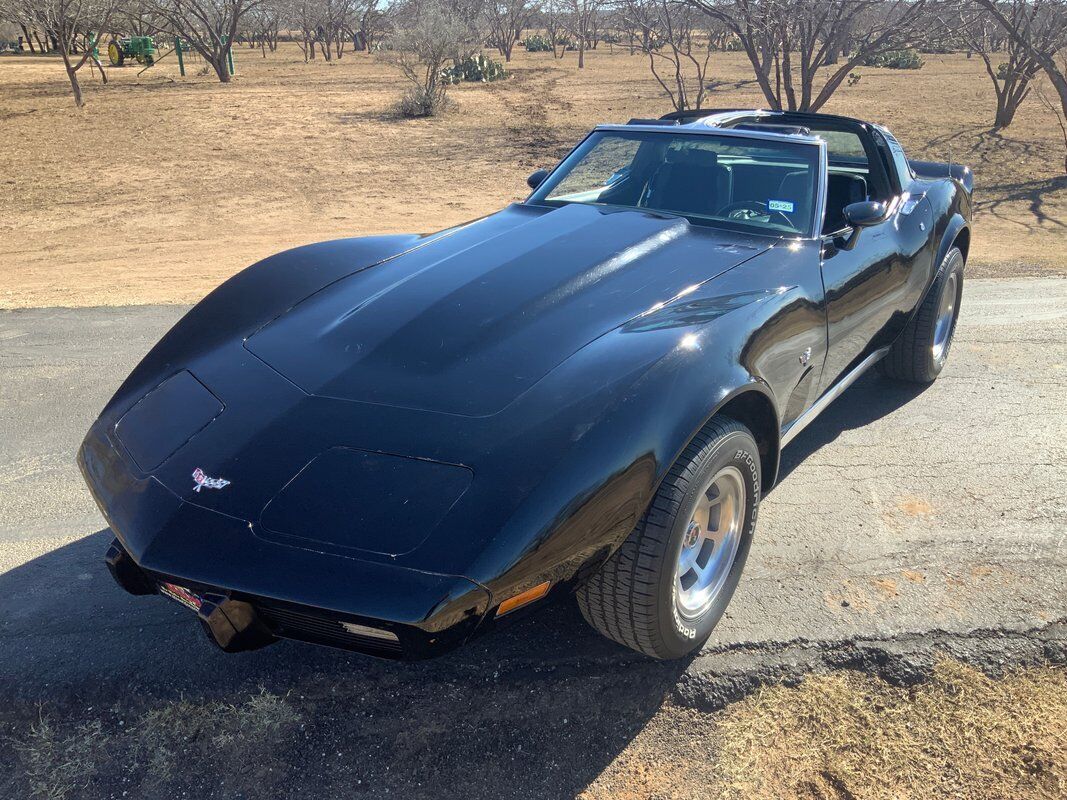 Chevrolet-Corvette-Coupe-1979-Black-Black-25704-11