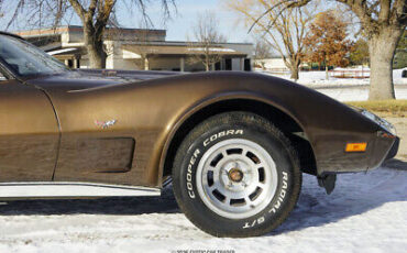 Chevrolet-Corvette-Coupe-1979-Brown-Tan-32325-10