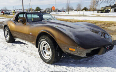 Chevrolet-Corvette-Coupe-1979-Brown-Tan-32325-11