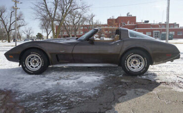 Chevrolet-Corvette-Coupe-1979-Brown-Tan-32325-2