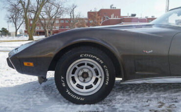 Chevrolet-Corvette-Coupe-1979-Brown-Tan-32325-3