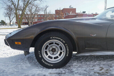 Chevrolet-Corvette-Coupe-1979-Brown-Tan-32325-3