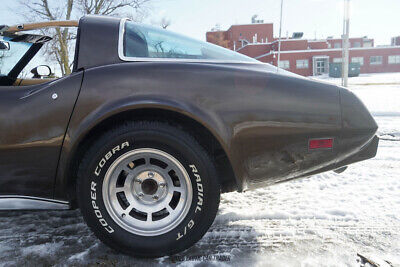 Chevrolet-Corvette-Coupe-1979-Brown-Tan-32325-4