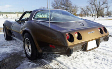 Chevrolet-Corvette-Coupe-1979-Brown-Tan-32325-5