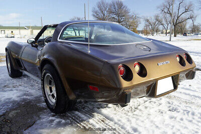 Chevrolet-Corvette-Coupe-1979-Brown-Tan-32325-5