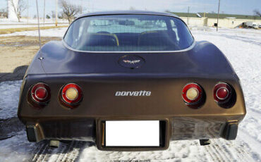 Chevrolet-Corvette-Coupe-1979-Brown-Tan-32325-6