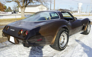 Chevrolet-Corvette-Coupe-1979-Brown-Tan-32325-7