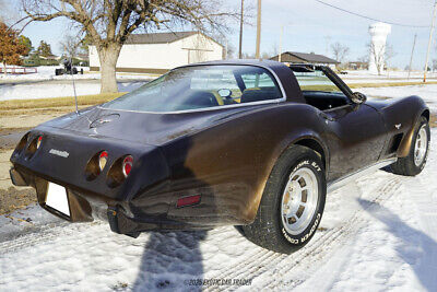 Chevrolet-Corvette-Coupe-1979-Brown-Tan-32325-7